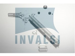 BrokenThermoneterINVALSI